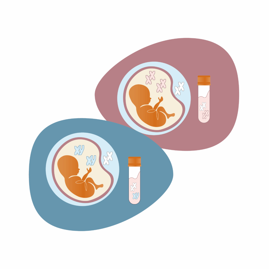 Illustration som visar att om man hittar y-kromosomer i mammans blod vet man att hon bär på en pojke.